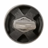 bujetijera1