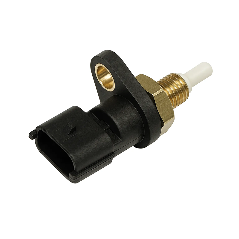 Sensor IAT